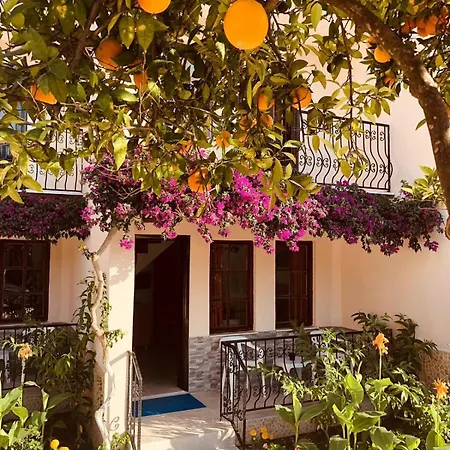 Villa Wonderful In The Heart Of Daylan Dalyan