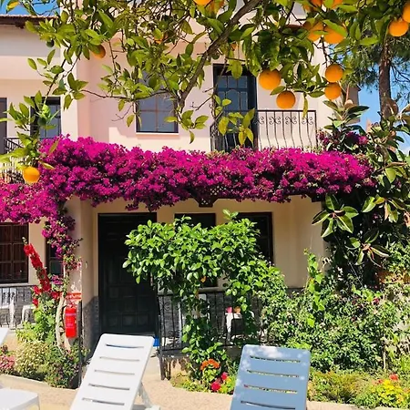 Wonderful In The Heart Of Daylan Dalyan